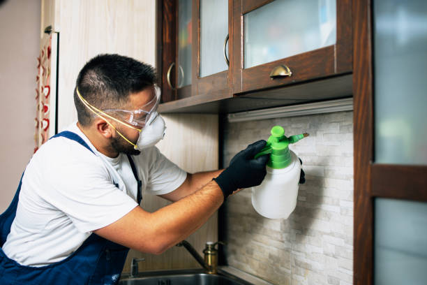 Best Exterminator Services  in Fords, NJ