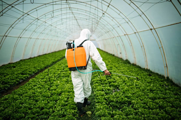Best Best Pest Control Companies  in Fords, NJ
