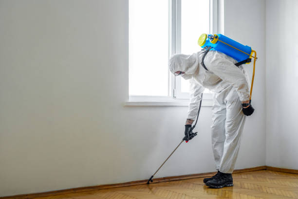 Trusted Fords, NJ Pest Control Experts