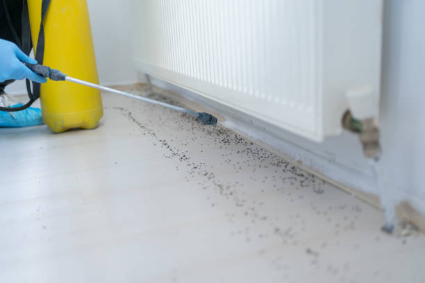 Best Pest Prevention Services  in Fords, NJ