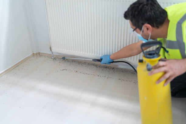 Best Affordable Pest Control Services  in Fords, NJ