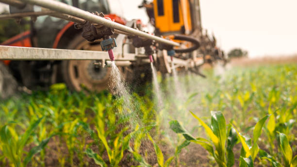 Best Pest Control Cost  in Fords, NJ